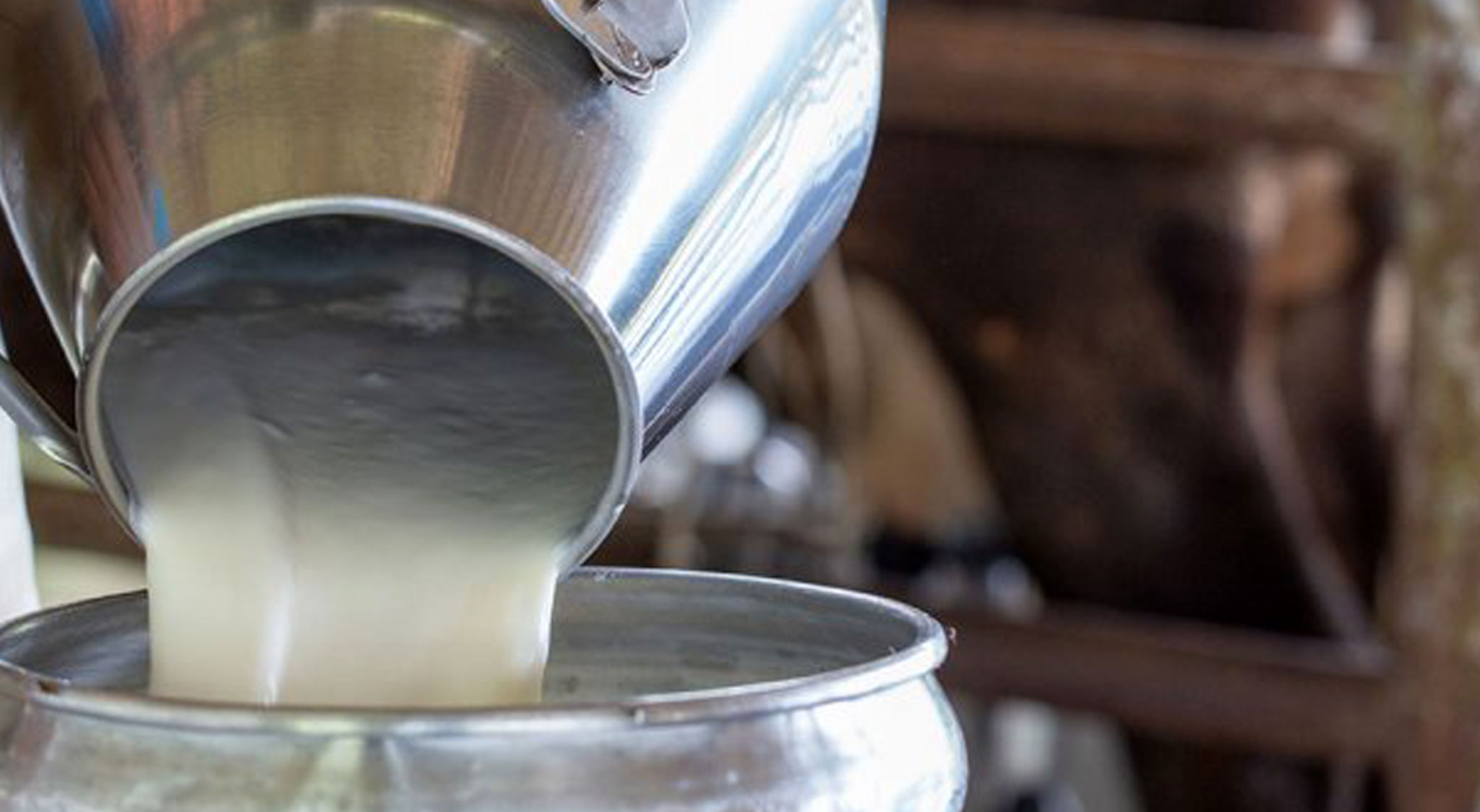 Γαλακτοπαραγωγή και ποιότητα γάλακτος